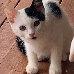 Meet your Posher, Kate